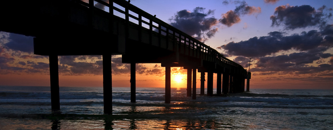 banner4
